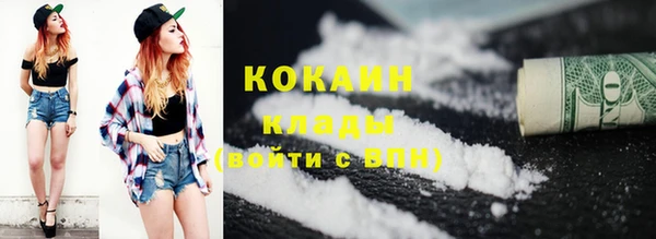 ешки Аркадак