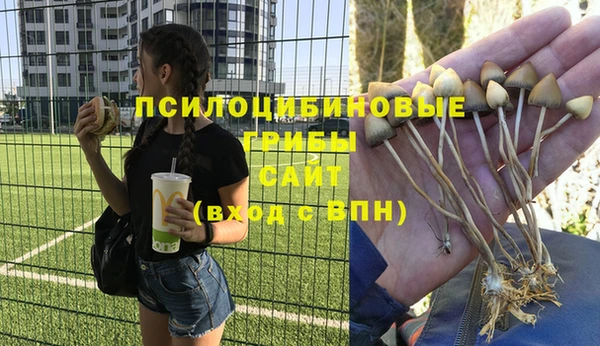 jwh Арсеньев